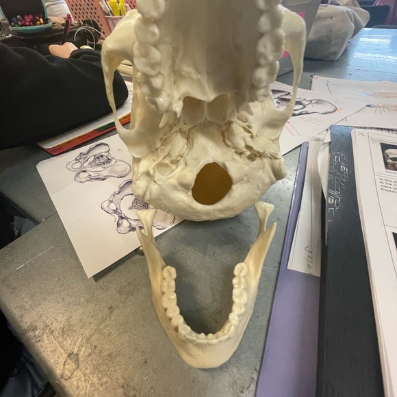 me - Picture 7 of 16